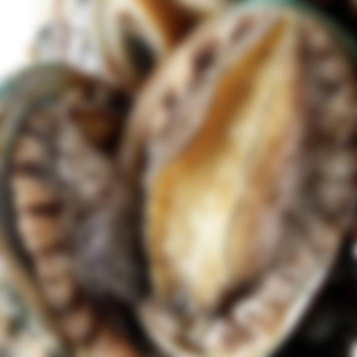 あわびなでしこ