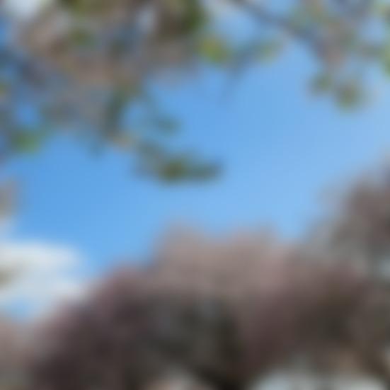 ユウ（さーちゃん）