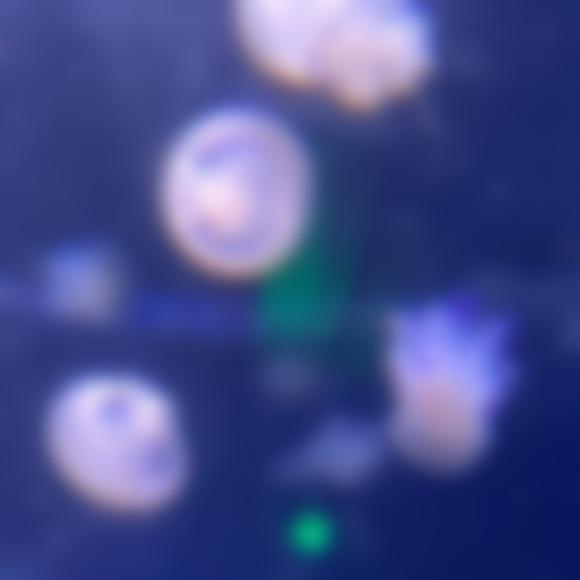 ほたる290