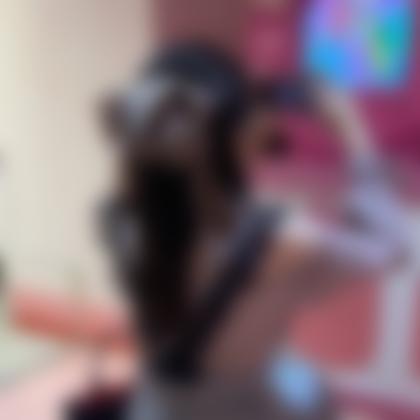 みゃーさん