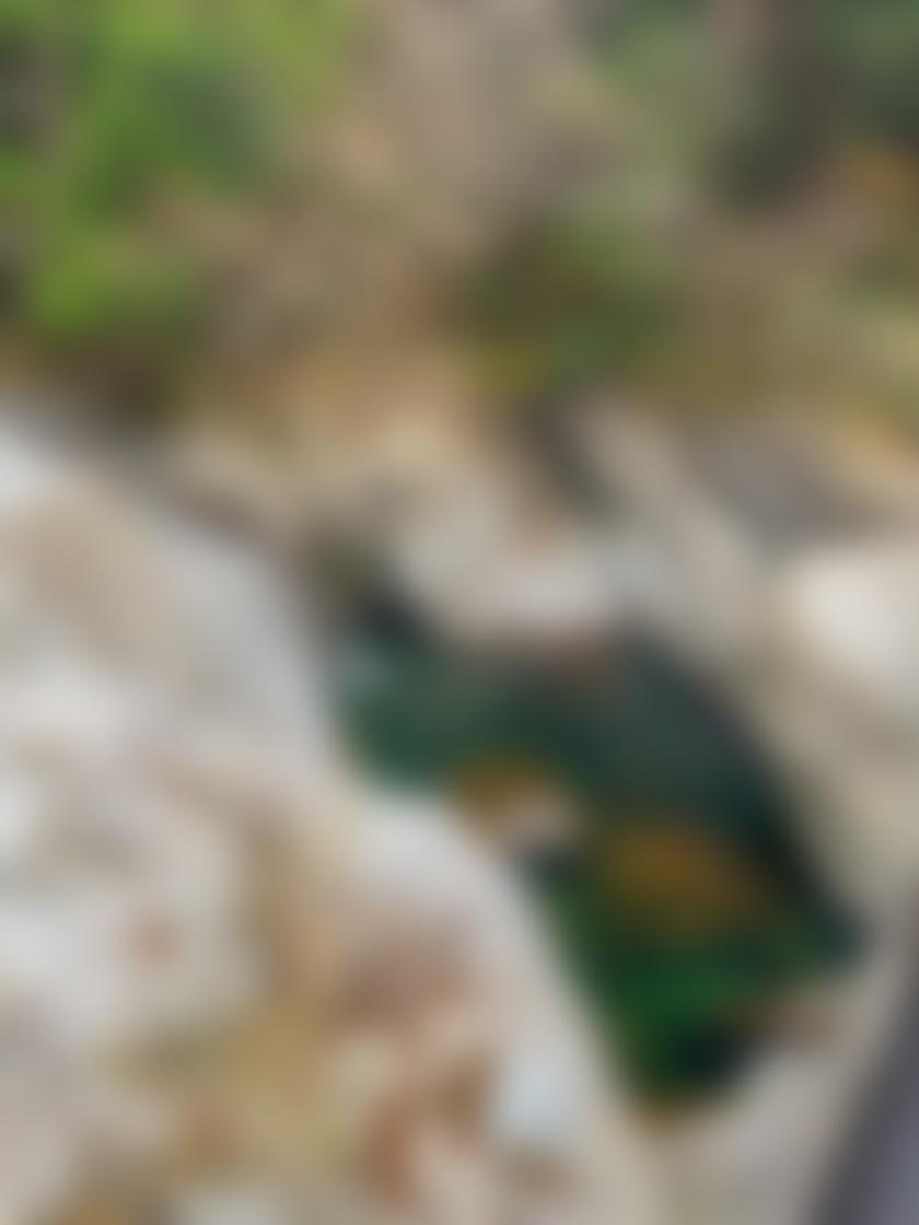 タイトル