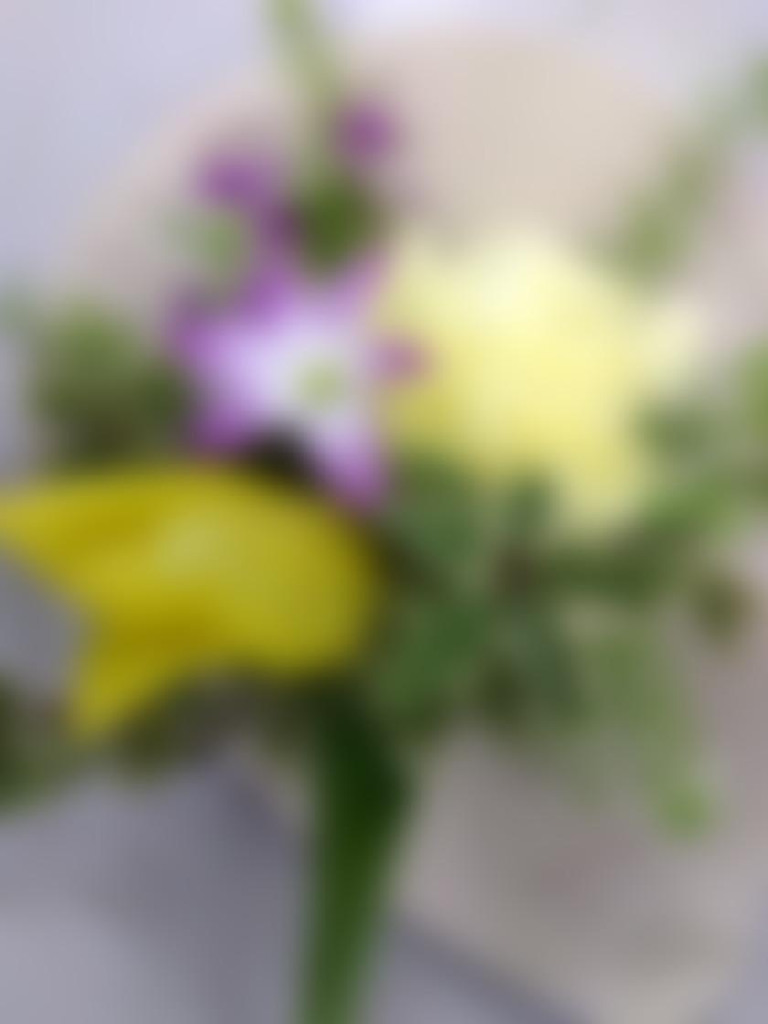 タイトル