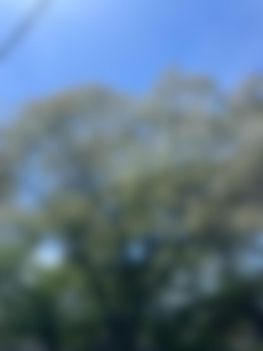 タイトル