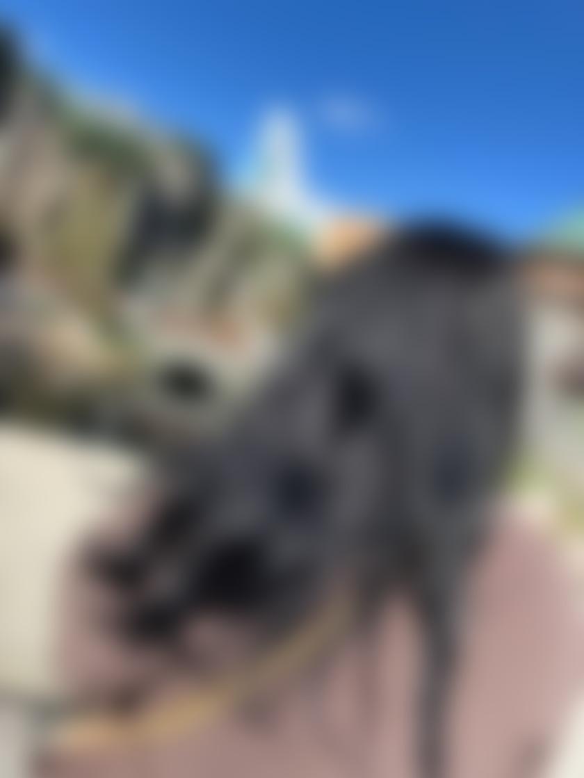 タイトル