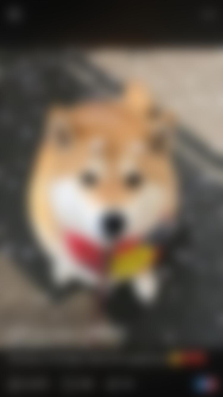 タイトル