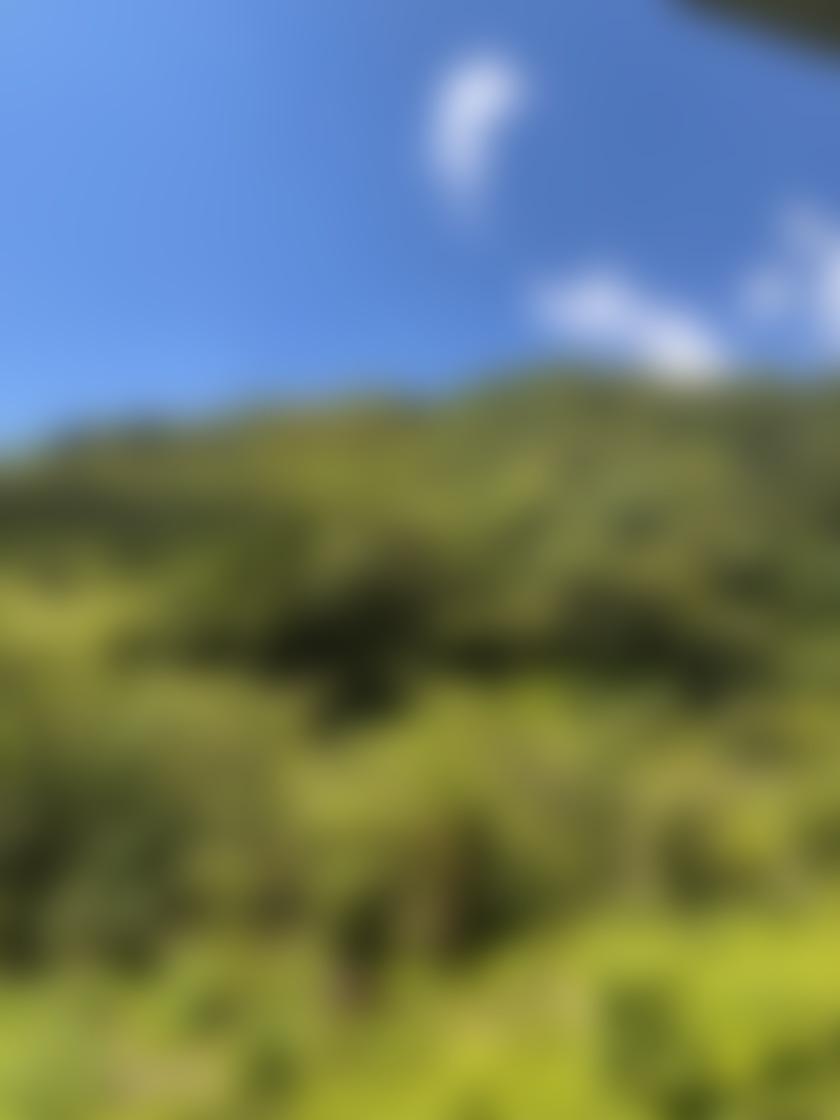 タイトル