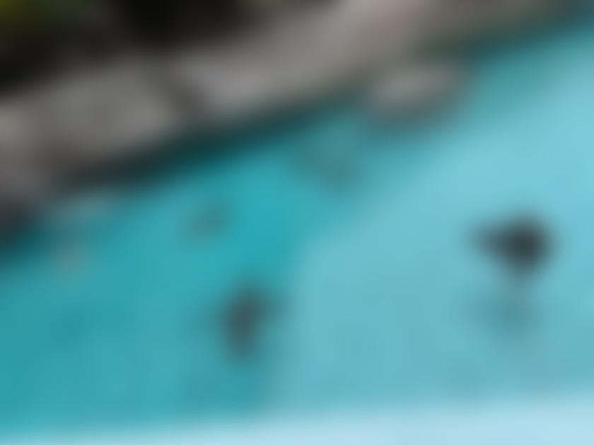 タイトル