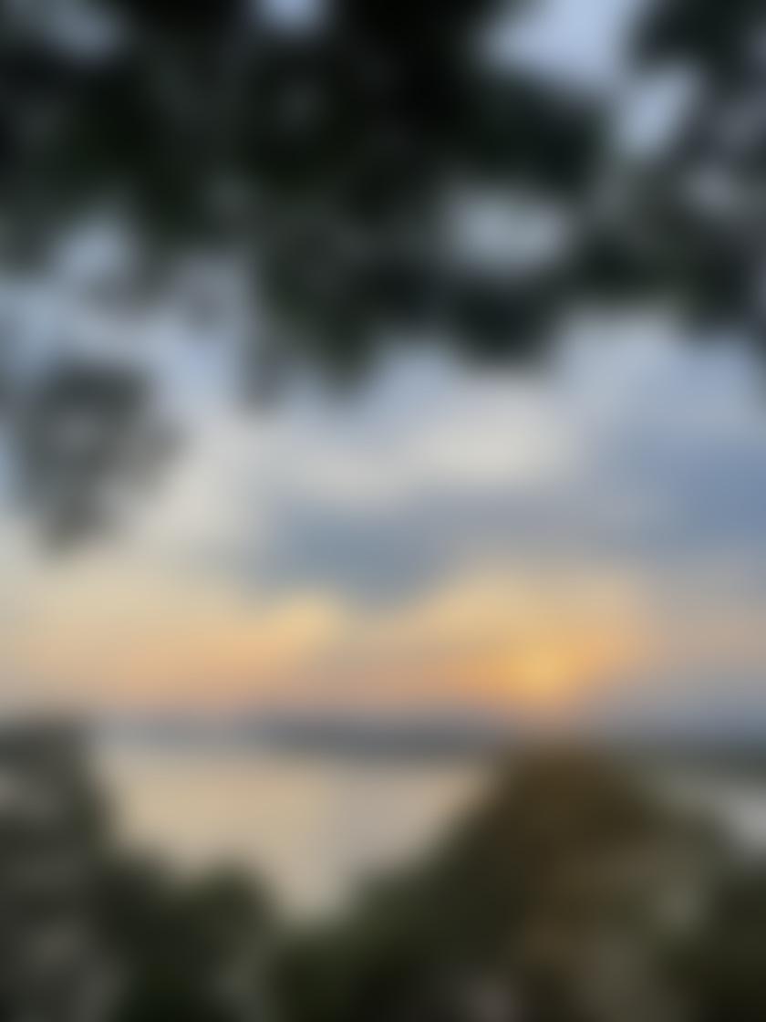 タイトル