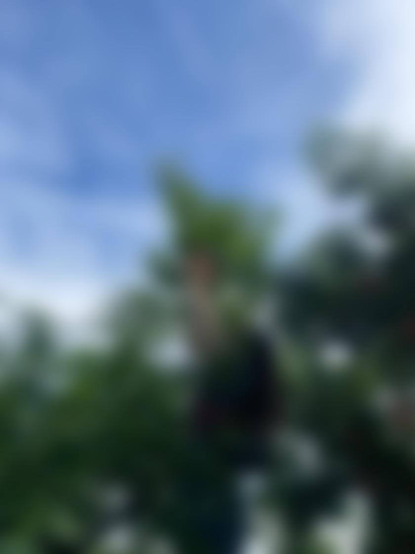 タイトル