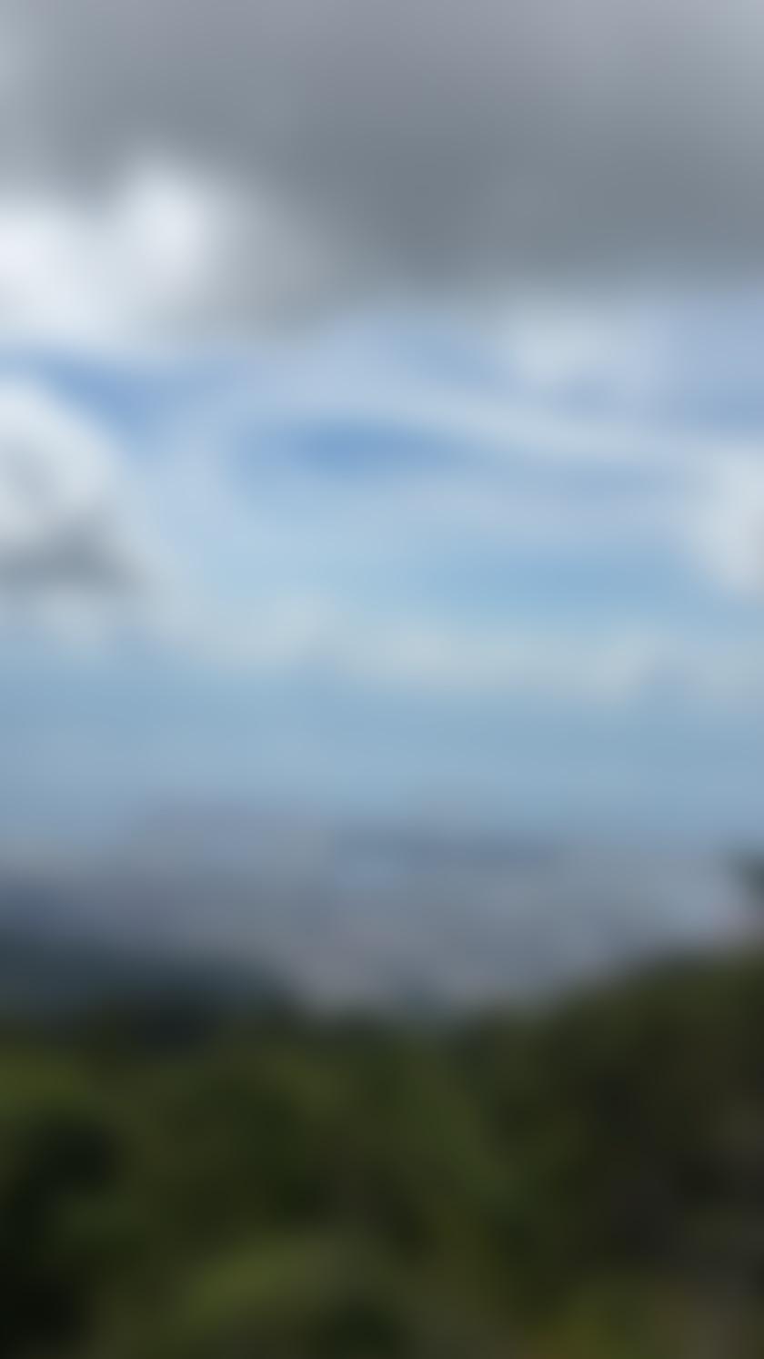 タイトル