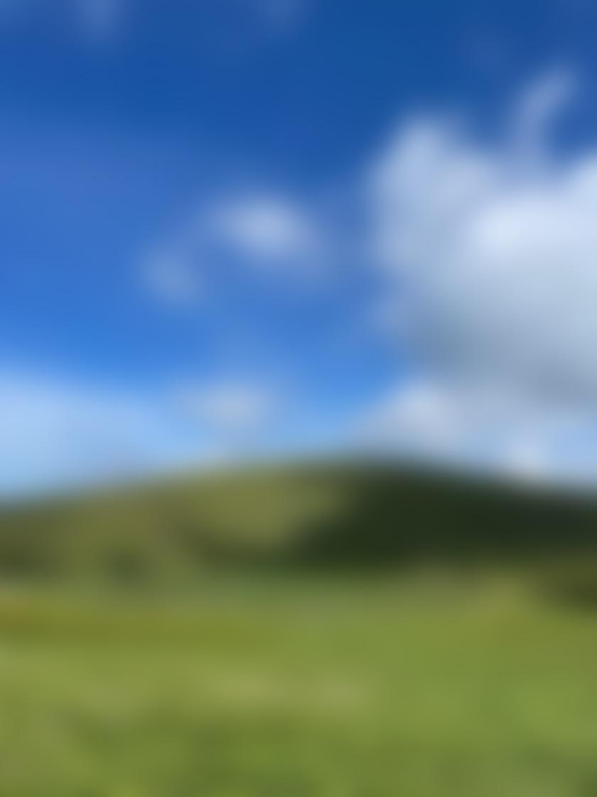 タイトル