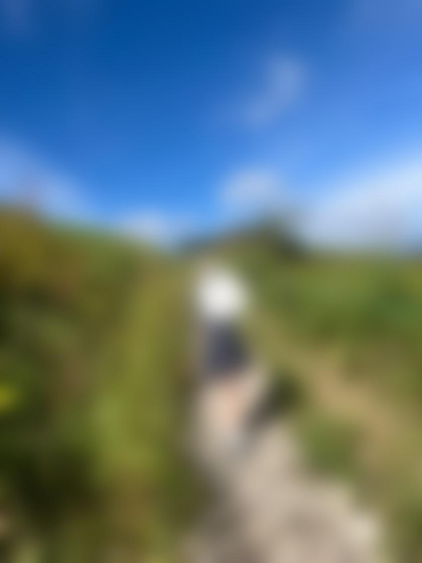 タイトル