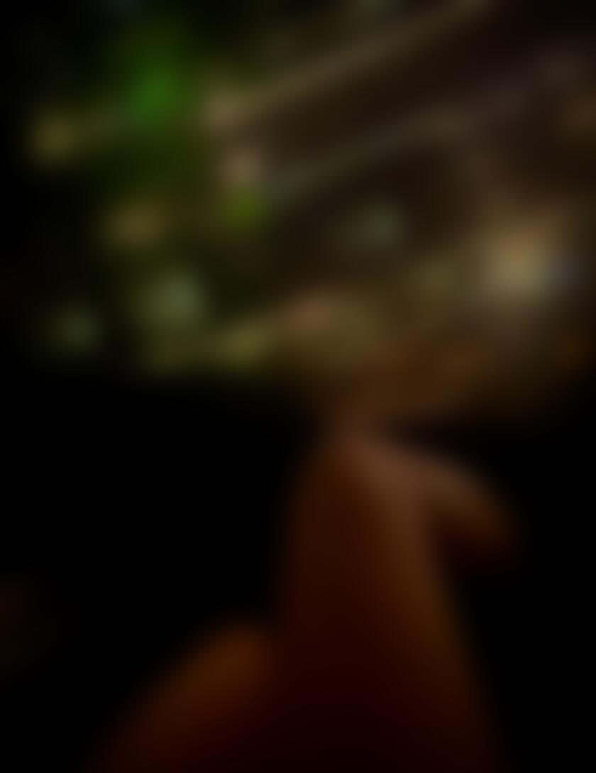 タイトル