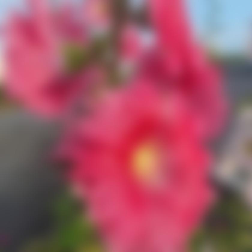 タイトル