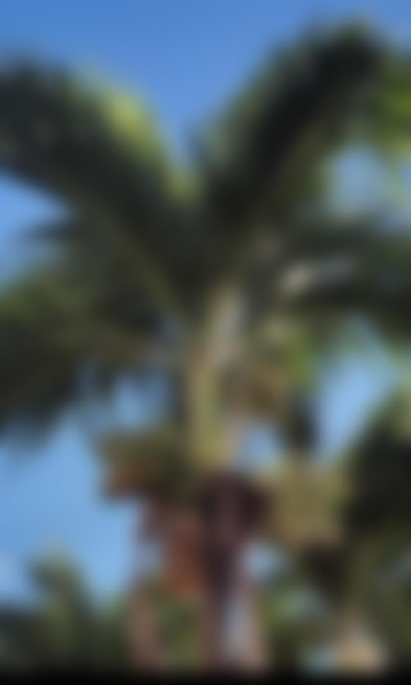 タイトル
