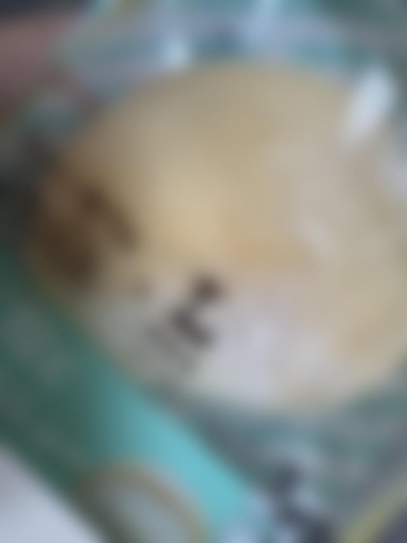 タイトル