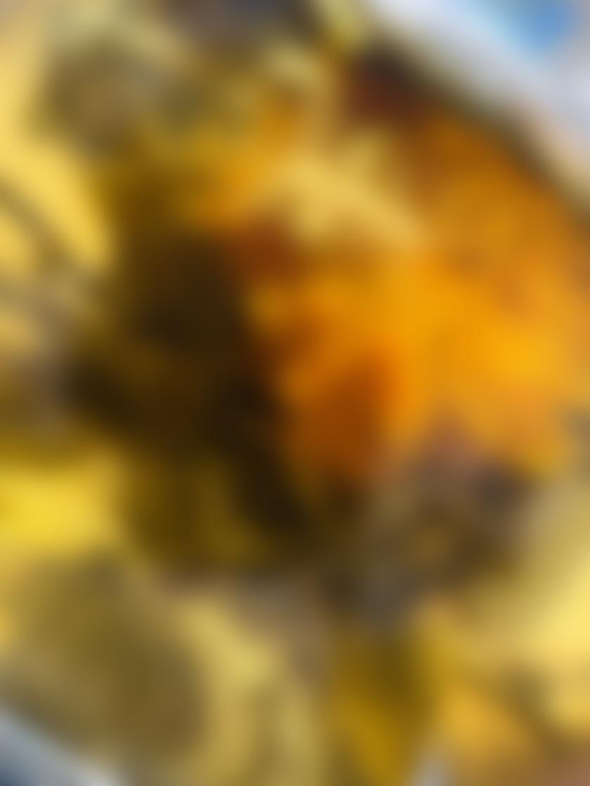 タイトル