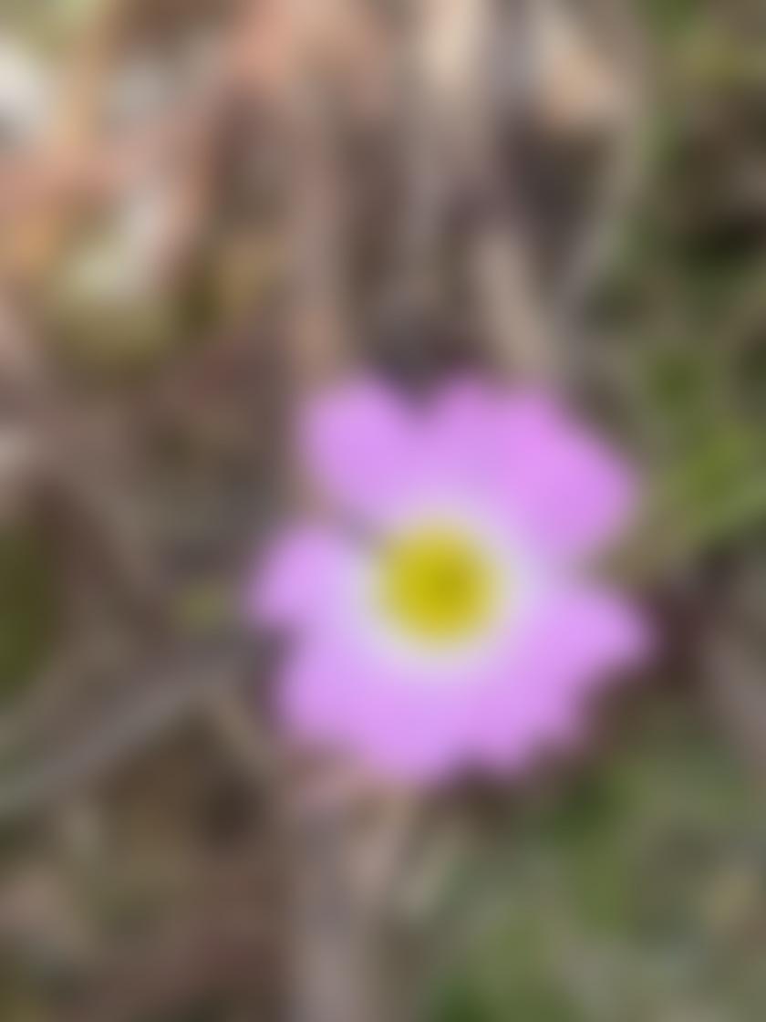 タイトル