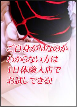 POINT2 ご自身がMなのかわからない方は1日体験入店でお試しできる！
