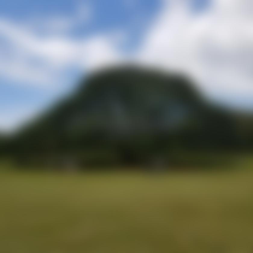 クロネコ909