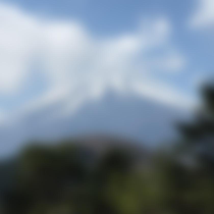たか815