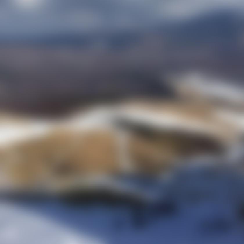 たか815