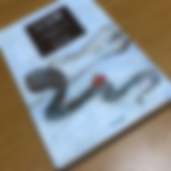 ペレス(たまにしか遊べません💦)