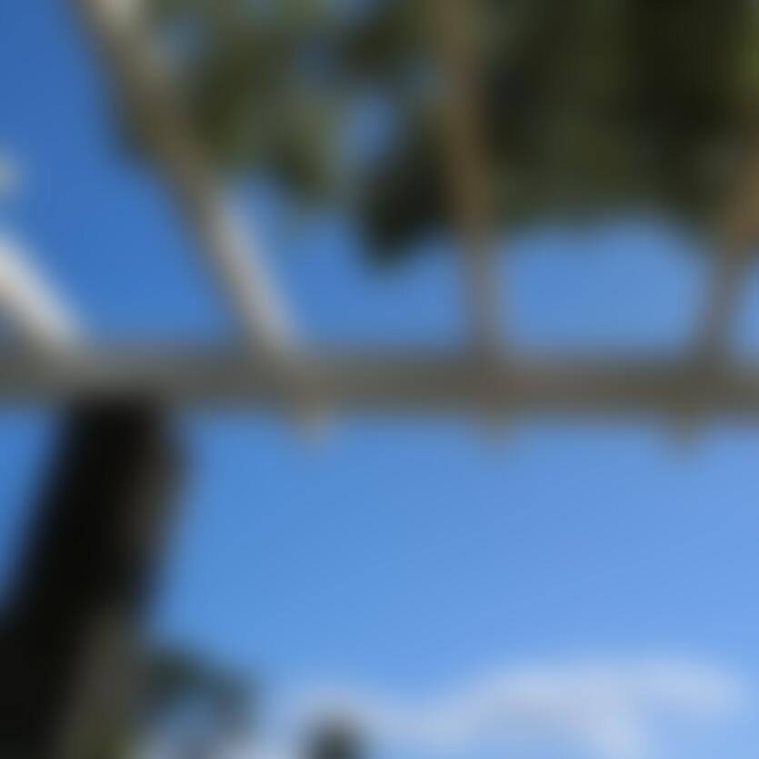 じゅん355
