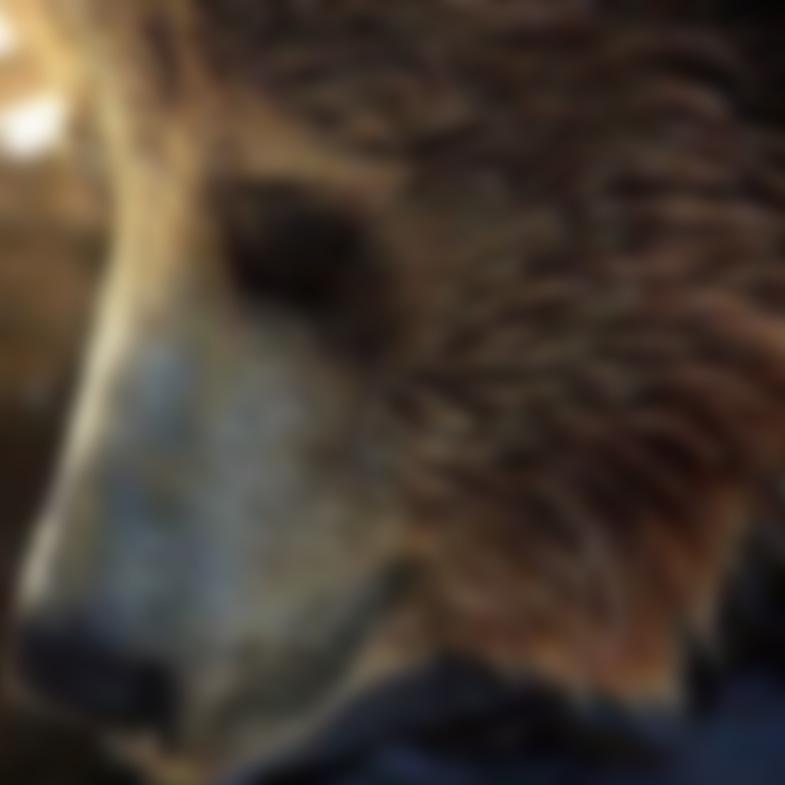 ラ・ラスカル