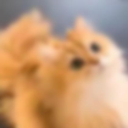たくまさん