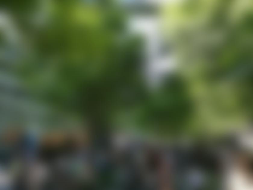 タイトル