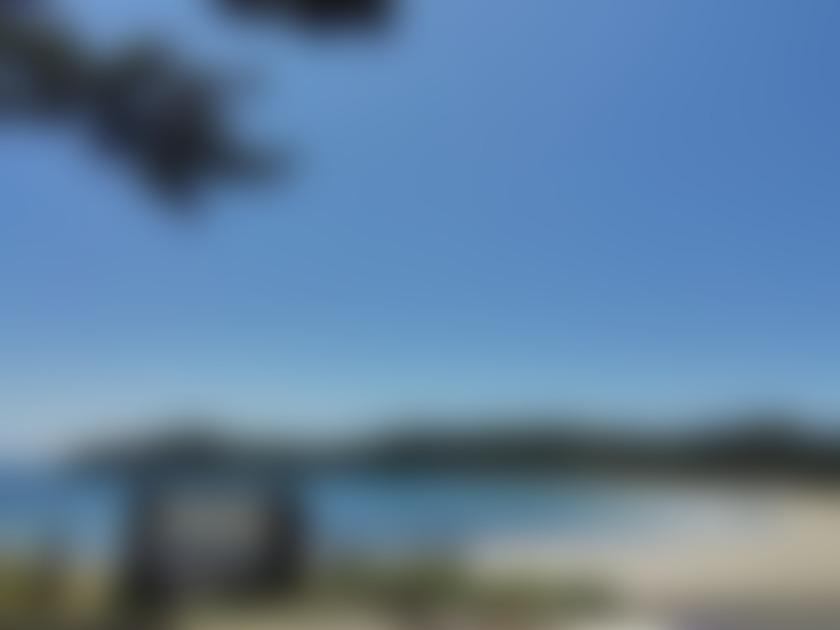タイトル