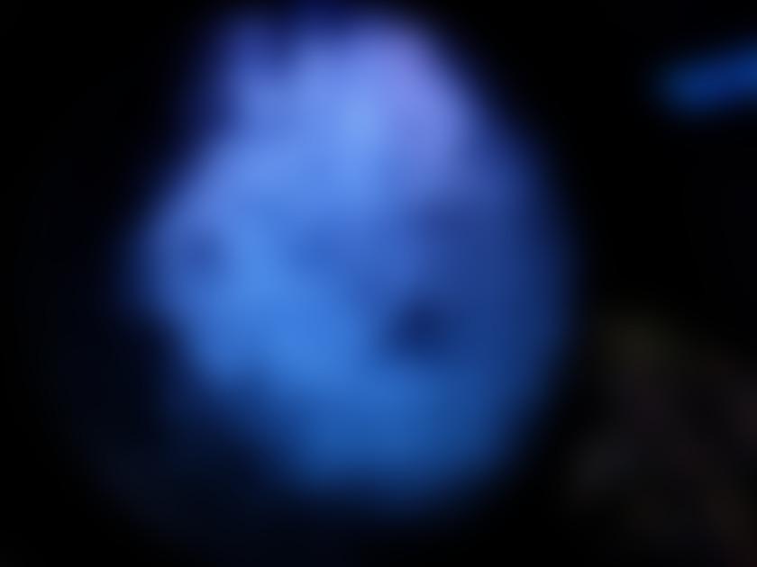 タイトル