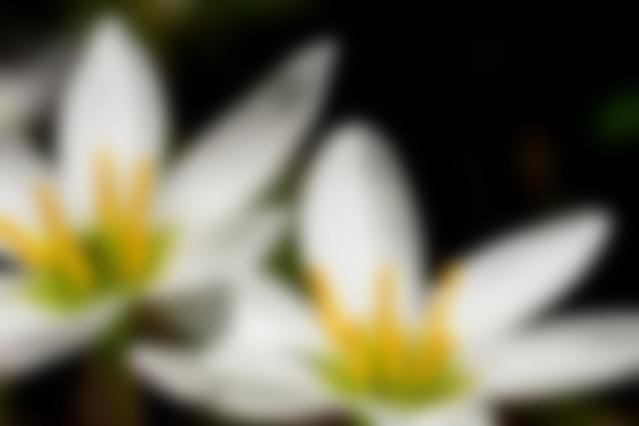 タイトル