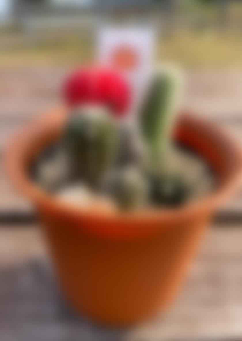 タイトル