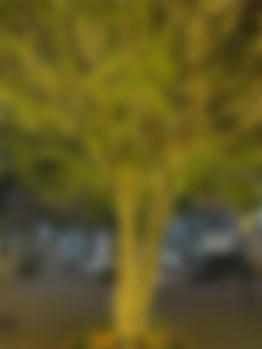 タイトル