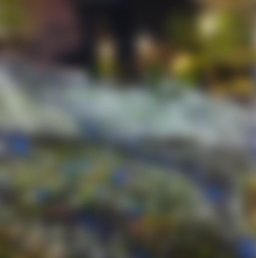 タイトル