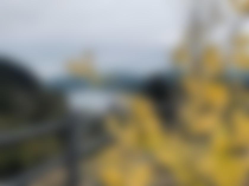 タイトル