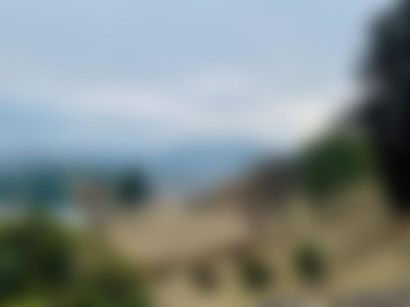 タイトル