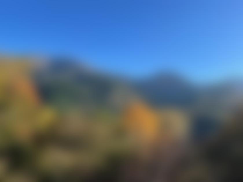 タイトル