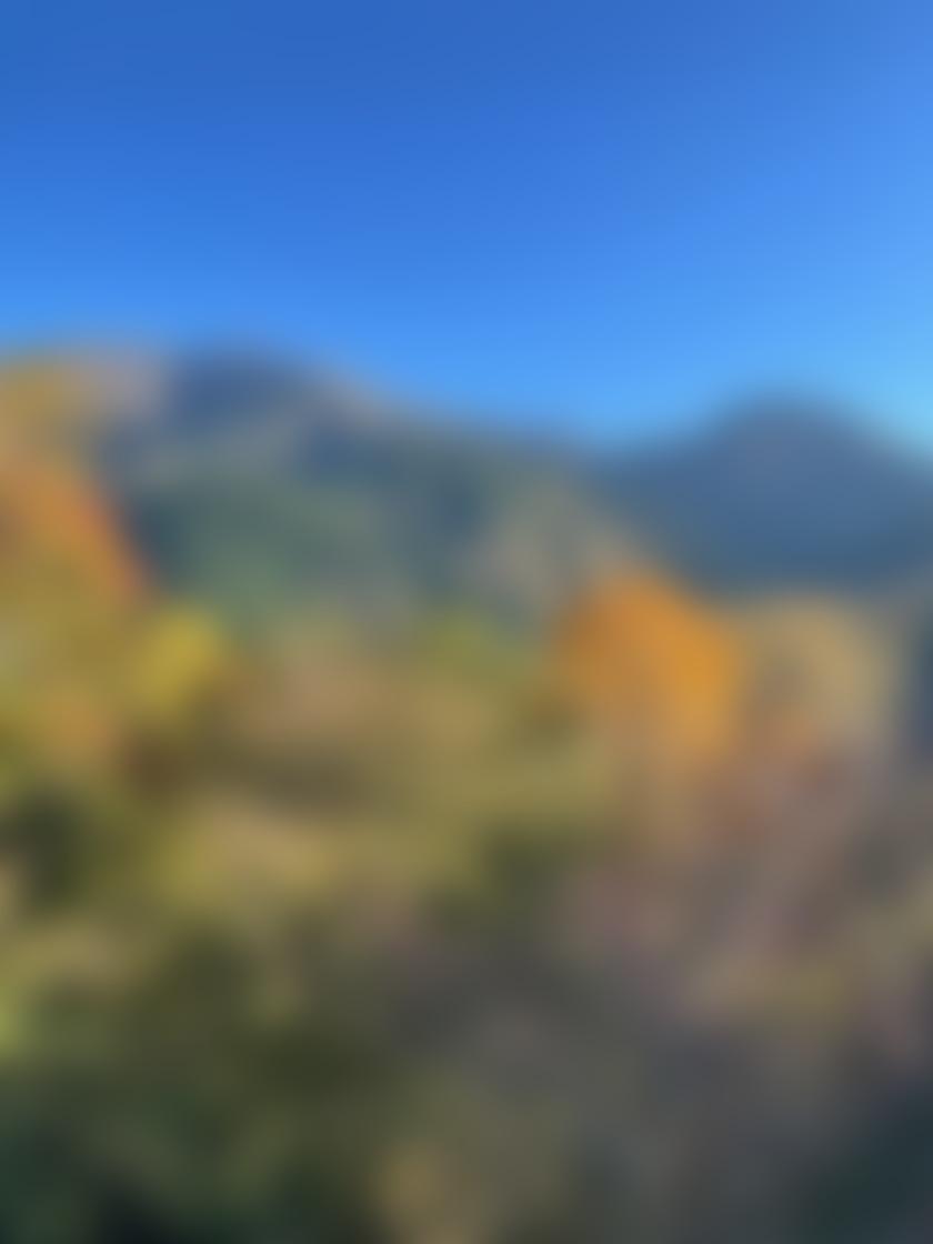 タイトル
