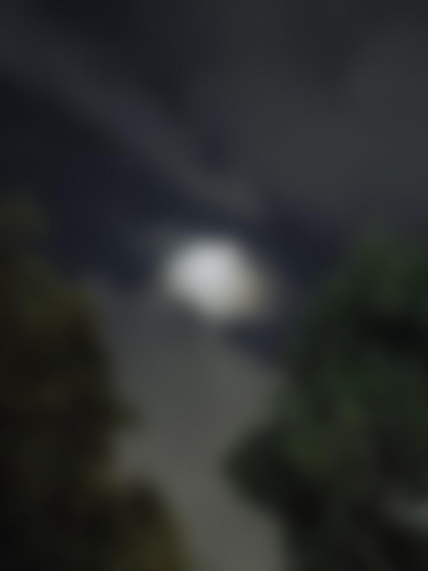 タイトル