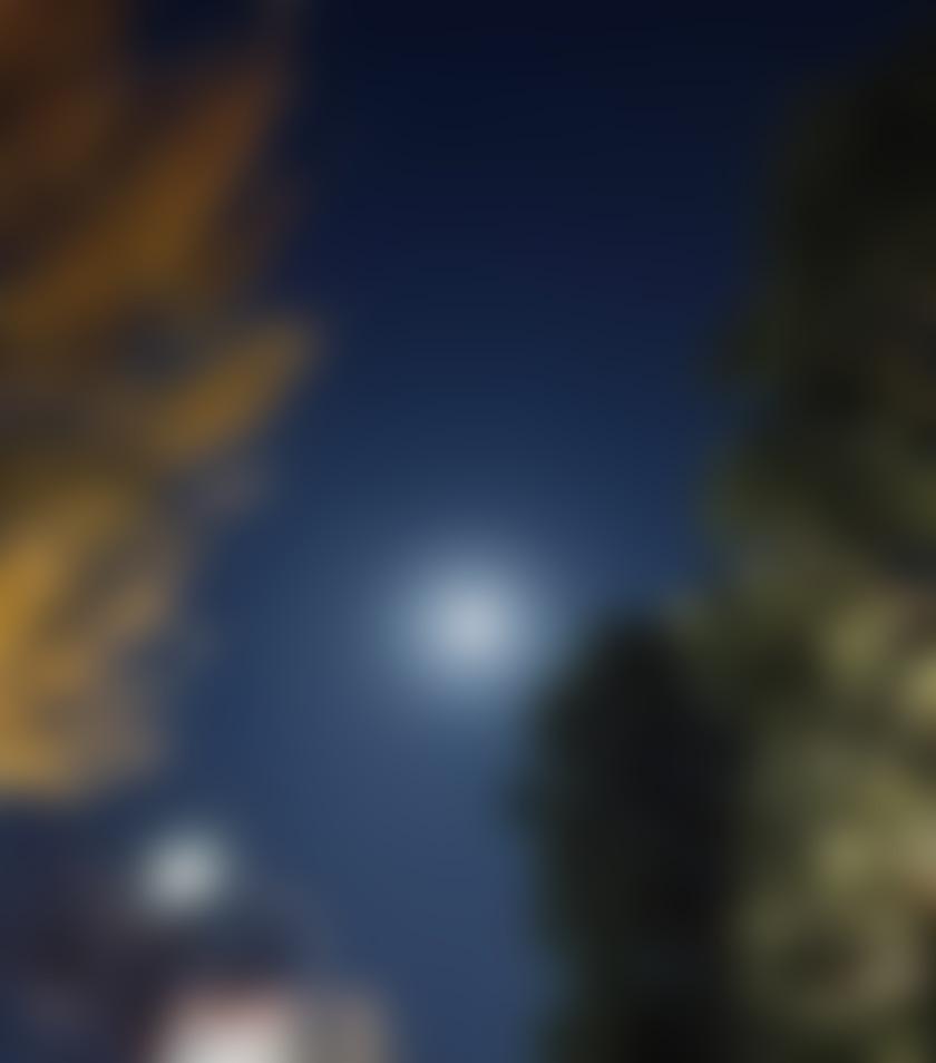タイトル