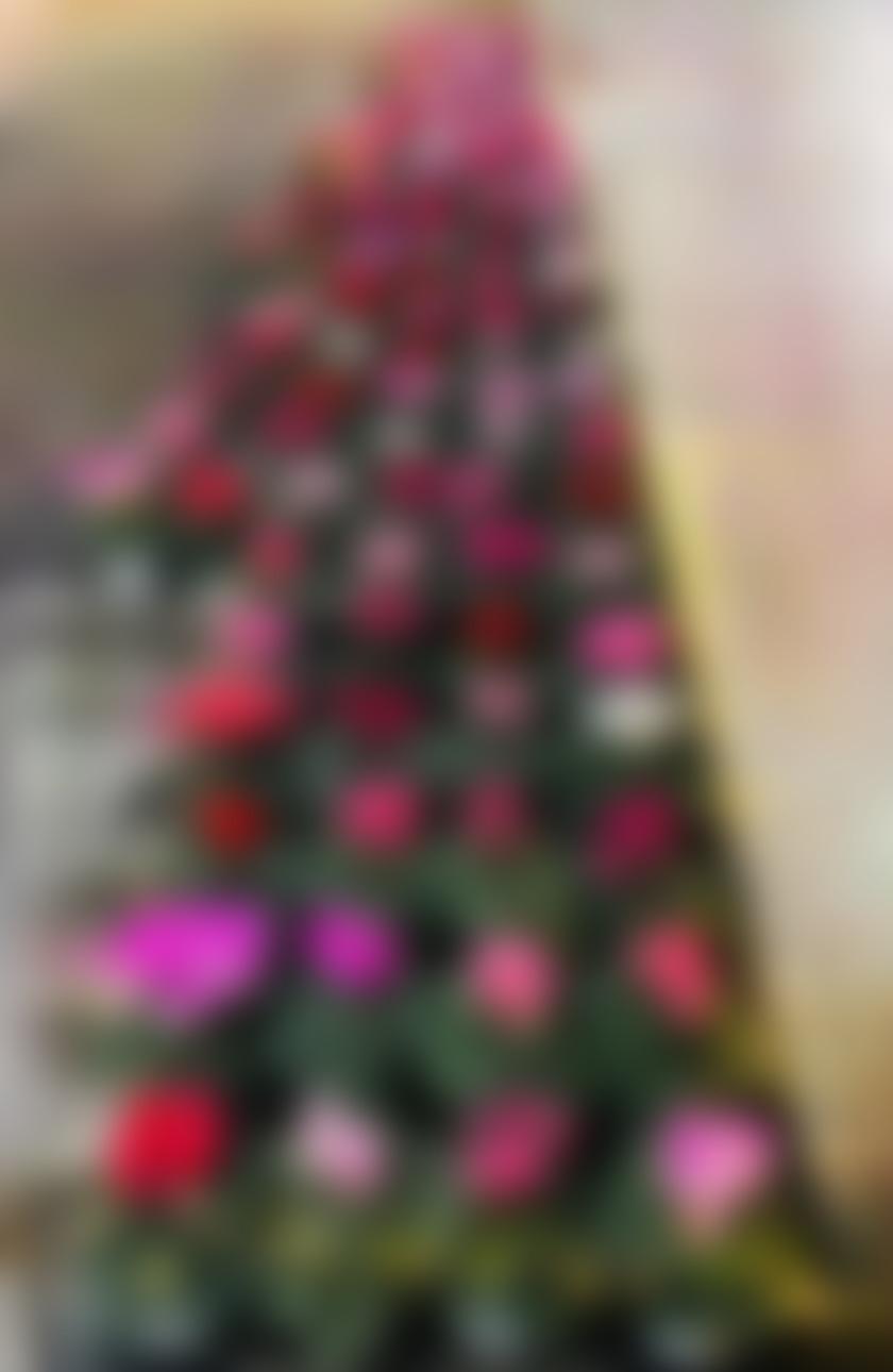 タイトル