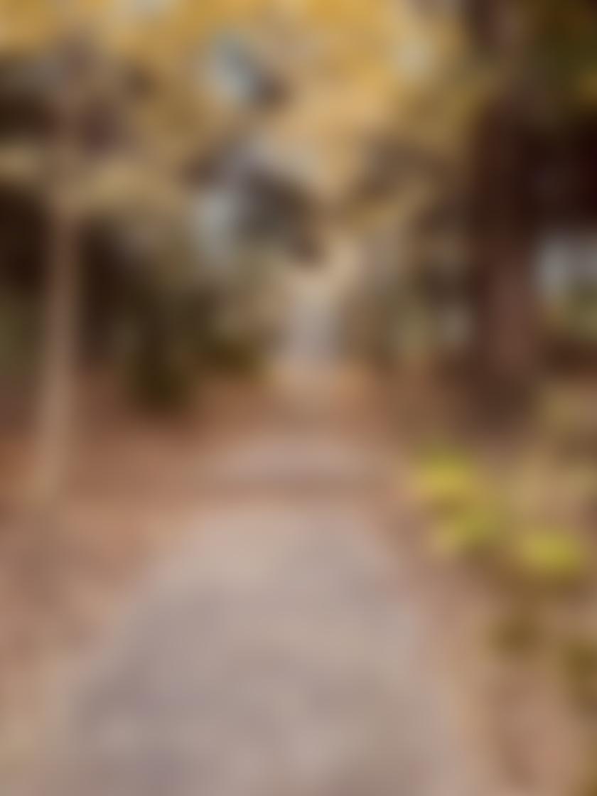 タイトル