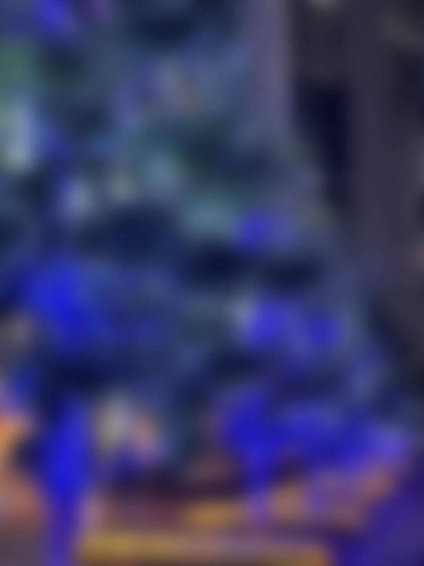 タイトル