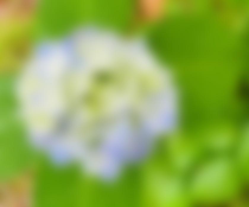 タイトル