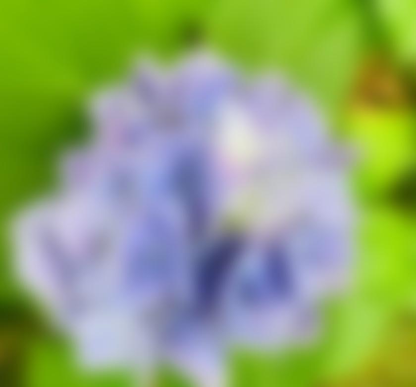 タイトル