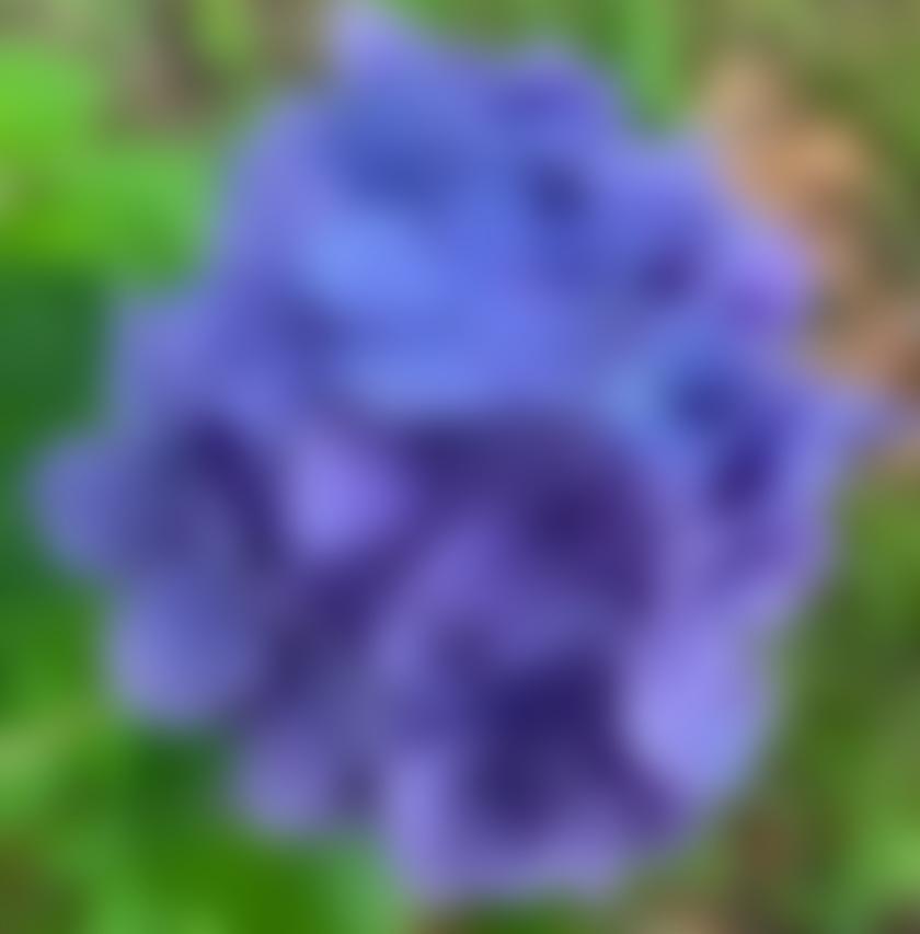 タイトル