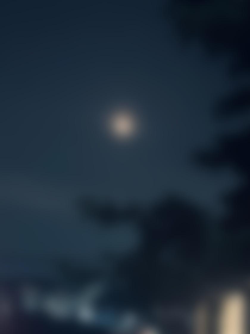 タイトル